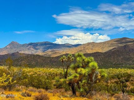Farm and Ranch in Mohave County, Arizona