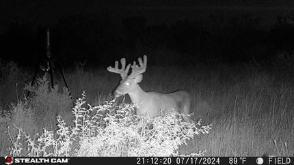 Recreational Property for sale in Atascosa County, Texas