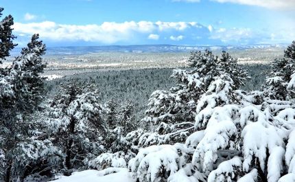 Undeveloped Land in Apache County, Arizona