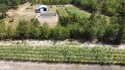 Farm and Ranch in Dillon County, South Carolina