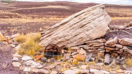 Farm and Ranch in Apache County, Arizona