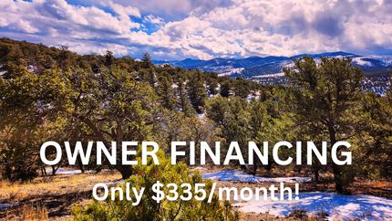 Timberland Property in Costilla County, Colorado