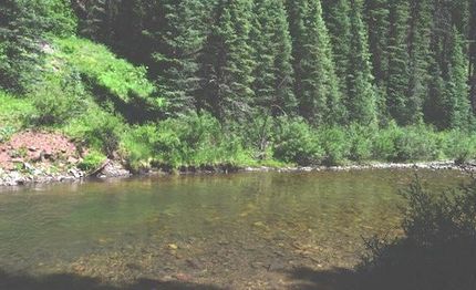 Timberland Property in Fremont County, Idaho