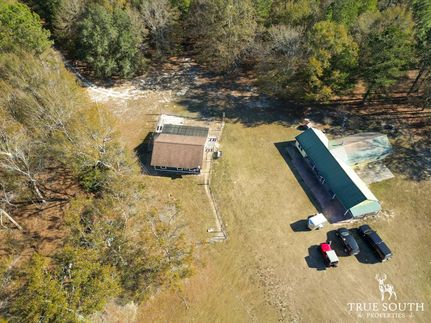 Undeveloped Land in Aiken County, South Carolina
