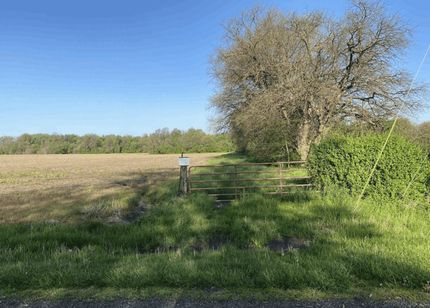 Undeveloped Land in Clinton County, Illinois