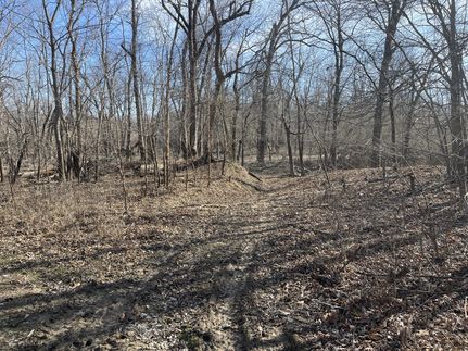 Farm and Ranch in Wayne County, Illinois