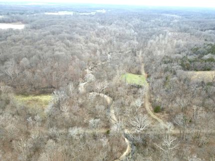 Undeveloped Land in Fayette County, Illinois