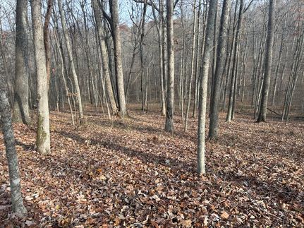 Farm and Ranch in Scioto County, Ohio
