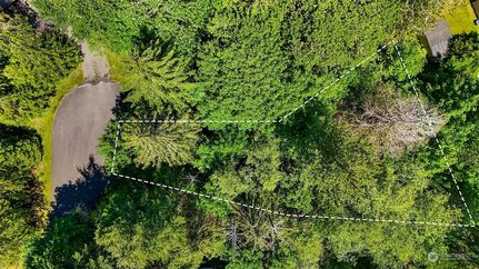 Undeveloped Land in Whatcom County, Washington