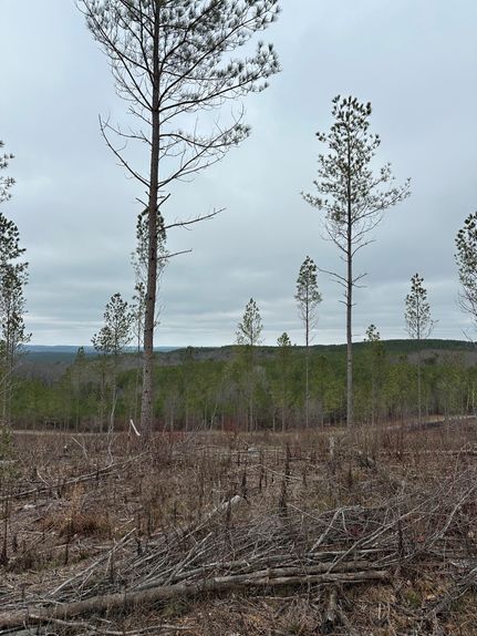 Land for sale in Cumberland County, Tennessee