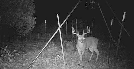 Farm and Ranch in Edwards County, Texas