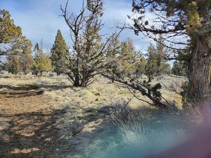 Undeveloped Land in Jefferson County, Oregon