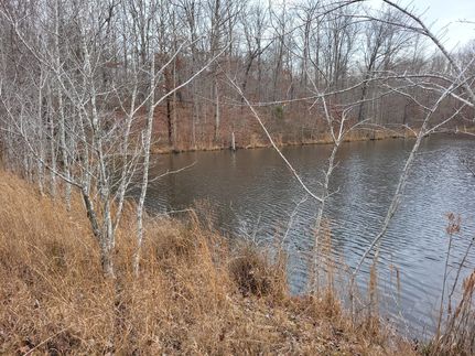 Land in Stewart County, Tennessee