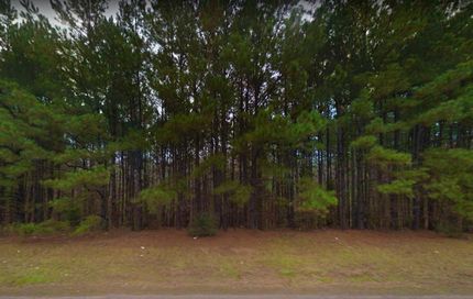 Undeveloped Land in Harrison County, Texas