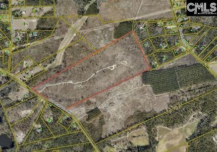 Undeveloped Land in Lexington County, South Carolina