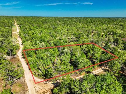 Undeveloped Land in Putnam County, Florida