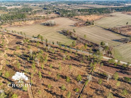 Farm and Ranch in Sumter County, South Carolina