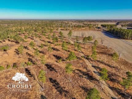 Farm and Ranch in Sumter County, South Carolina