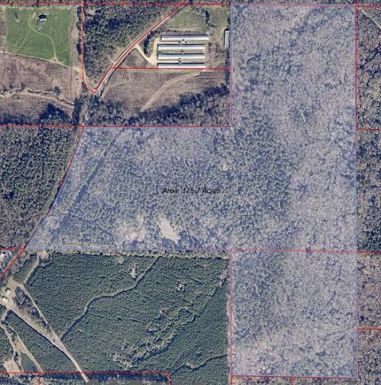 Undeveloped Land in Lincoln Parish, Louisiana