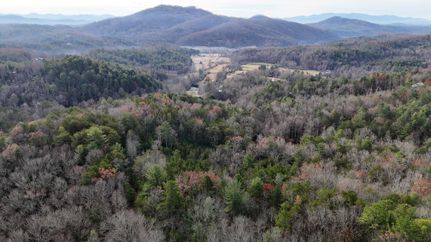 Timberland Property in Cherokee County, North Carolina