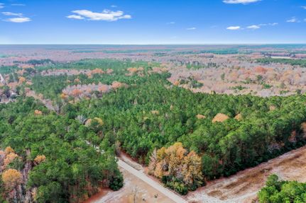 Recreational Property in Williamsburg County, South Carolina