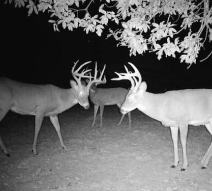 Hunting Property in Chariton County, Missouri