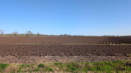 Farm and Ranch for sale in Wharton County, Texas