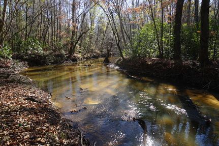 Recreational Property in Elmore County, Alabama