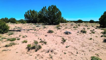 Farm and Ranch in Apache County, Arizona