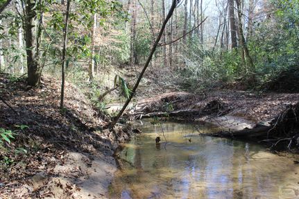Hunting Property in Simpson County, Mississippi