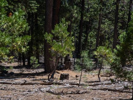 Timberland Property in Modoc County, California