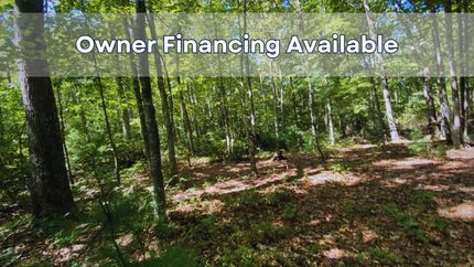 Hunting Property in Ashe County, North Carolina