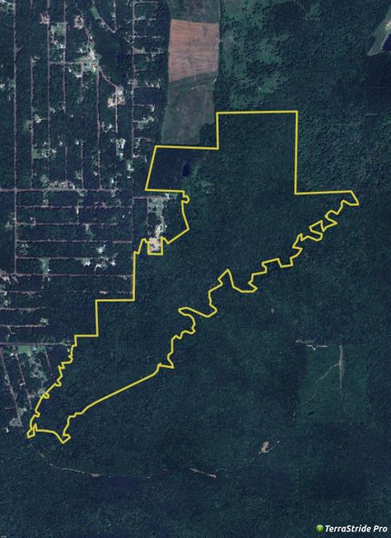 Timberland Property for sale in Rankin County, Mississippi