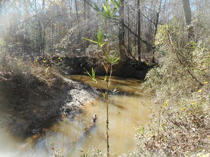 Waterfront Property for sale in Rankin County, Mississippi