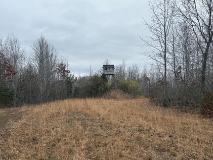 Land in Benton County, Tennessee