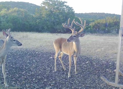 Timberland Property for sale in Edwards County, Texas