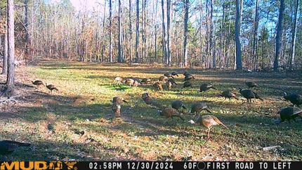 Lakefront Property in Benton County, Mississippi