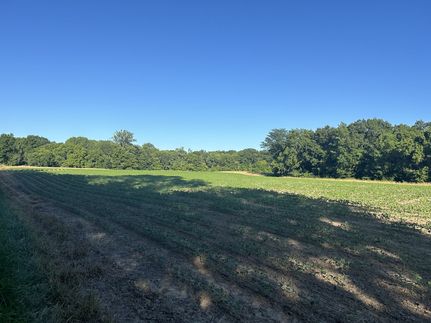 Timberland Property for sale in Effingham County, Illinois