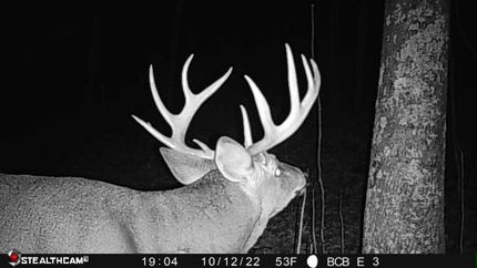 Recreational Property in Richland County, Wisconsin