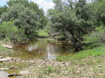 Hunting Property in Terrell County, Texas