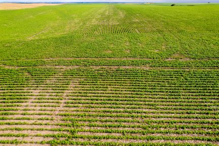 Land in Mercer County, North Dakota