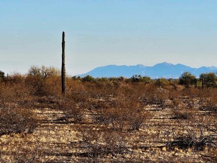 Timberland Property in Maricopa County, Arizona