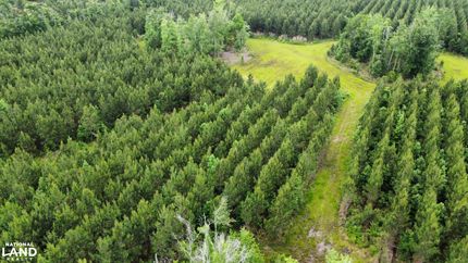 Recreational Property in Berkeley County, South Carolina