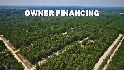 Undeveloped Land in Putnam County, Florida