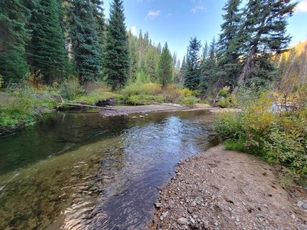 Timberland Property in Boise County, Idaho