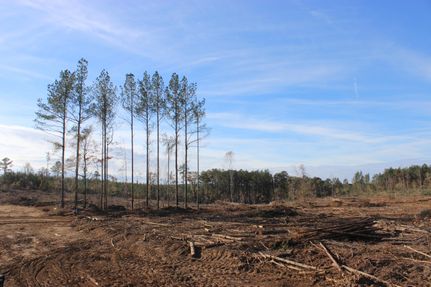 Recreational Property in Madison County, Mississippi