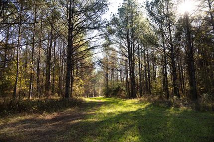 Farm and Ranch for sale in Madison County, Mississippi