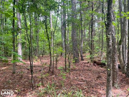 Recreational Property in Tuscaloosa County, Alabama