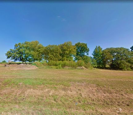 Timberland Property in Camp County, Texas
