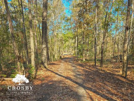 Land in Bulloch County, Georgia